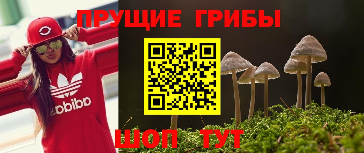 Псилоцибиновые грибы мухоморы  Вход с VPN  где можно купить наркотик  Троицк 