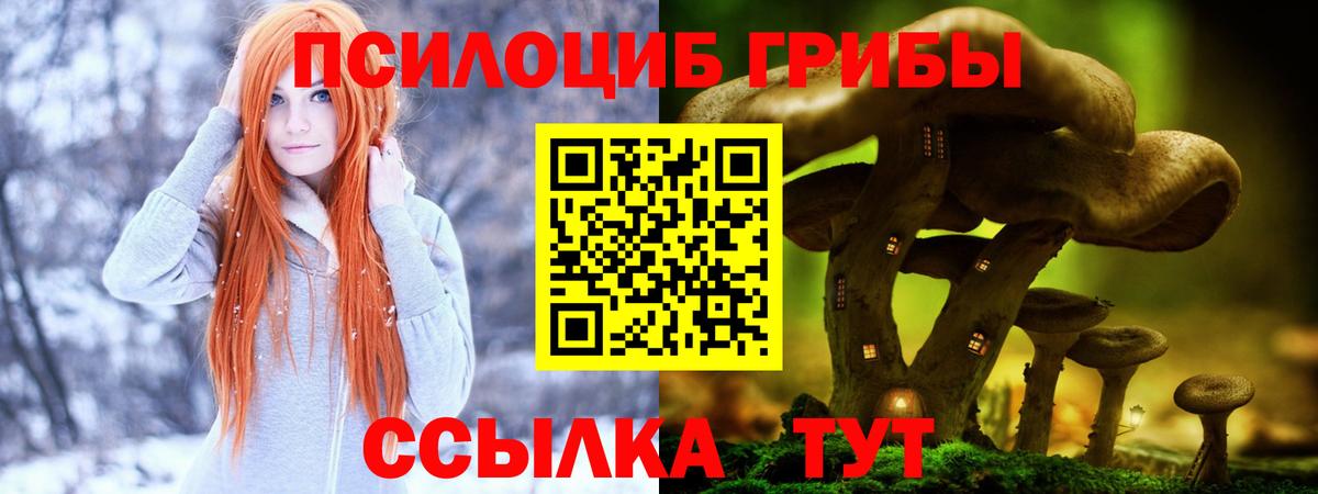 Галлюциногенные грибы Cubensis Троицк